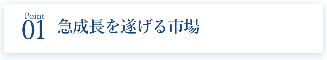 急成長を遂げる市場