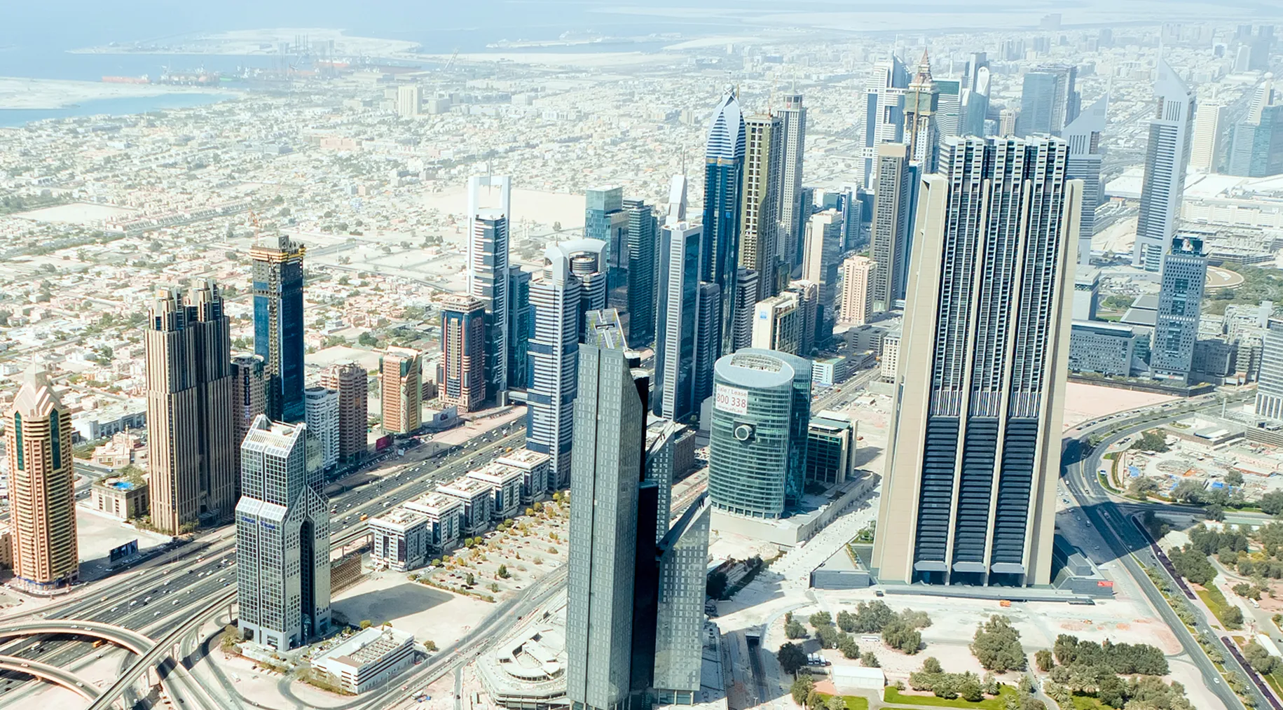 世界中から集まる投資家