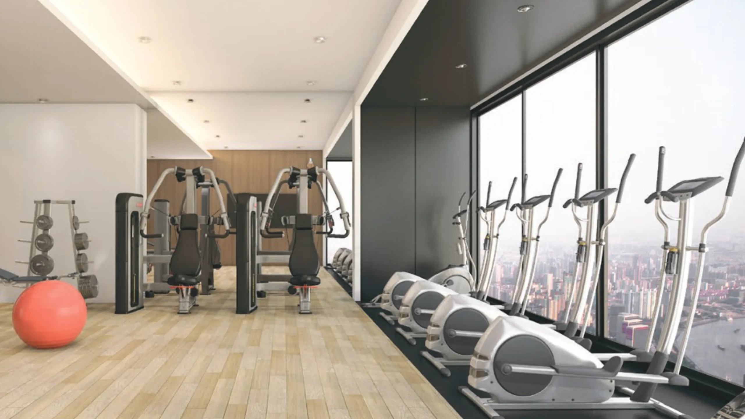 Wealth Mansion ジムの内装